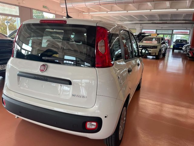 Fiat Pandina 1.0 FireFly 65 CV Hybrid Icon - foto 4 di 8