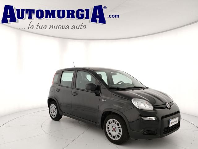 Fiat Panda 1.0 FireFly S&S Hybrid usato a BARLETTA