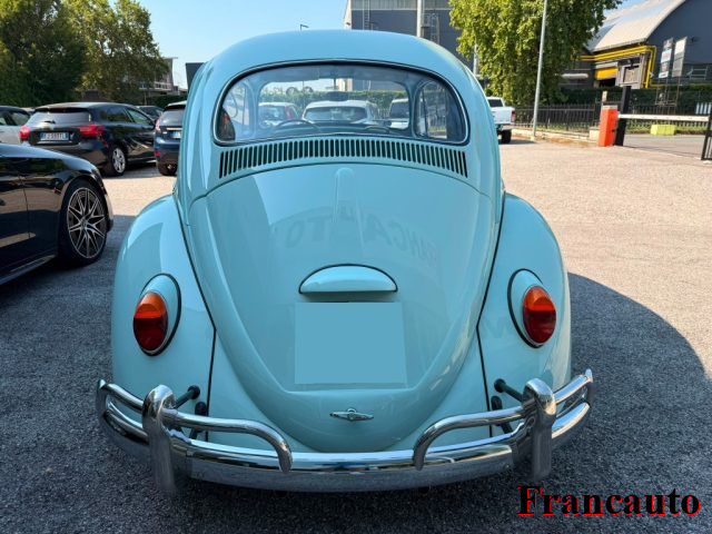 Volkswagen Maggiolino maggiolino - foto 4 di 4