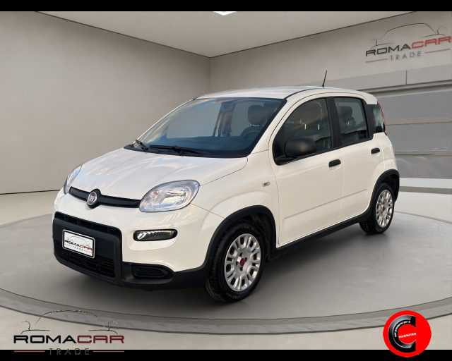 Fiat Panda 1.0 FireFly S&S Hybrid usato a ROMA