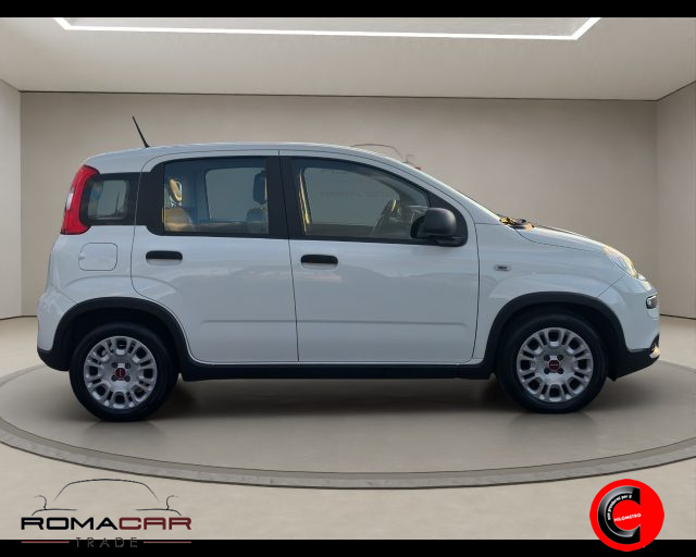 Fiat Panda 1.0 FireFly S&S Hybrid - foto 4 di 4