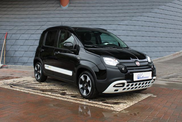 Fiat Panda 1.0 FireFly S&S Hybrid Pandina usato a DENNO