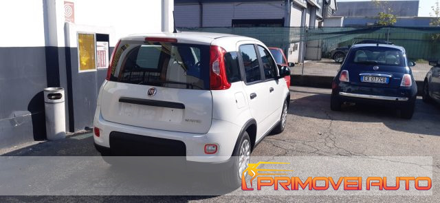 Fiat Panda 1.0 FireFly S&S Hybrid GPL km 0 a CASTELNUOVO RANGONE