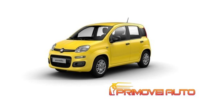 Fiat Panda 1.0 FireFly 65 CV Hybrid Pop nuovo a CASTELNUOVO RANGONE