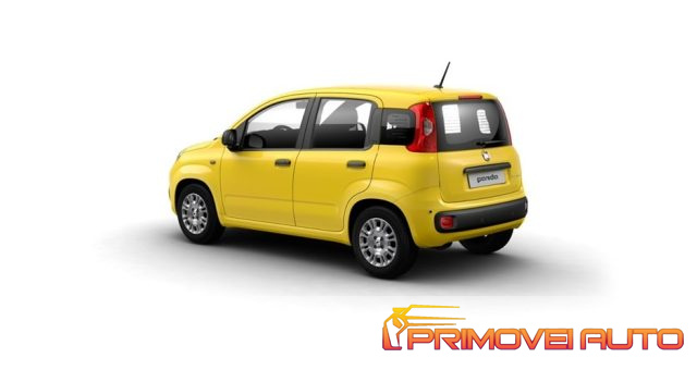 Fiat Panda 1.0 FireFly 65 CV Hybrid Pop nuovo a CASTELNUOVO RANGONE