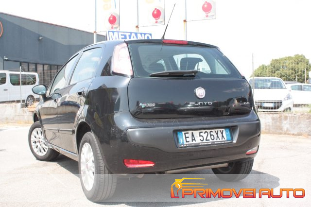 Fiat Punto 1.4 5 porte Dynamic Natural Power usato a CASTELNUOVO RANGONE