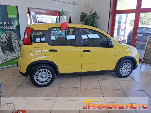 Fiat Panda 1.0 FireFly S&S Hybrid Pandina km 0 a CASTELNUOVO RANGONE