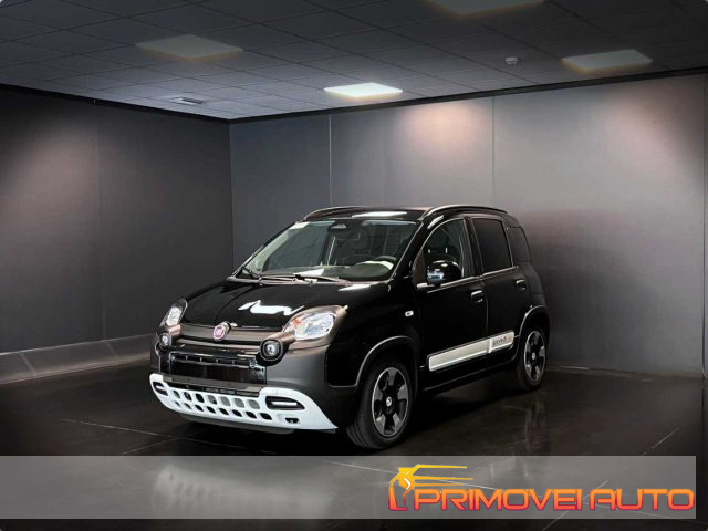 Fiat Panda 1.0 FireFly S&S Hybrid Pandina - foto 2 di 4