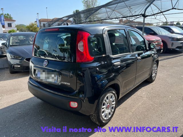 Fiat Panda 1.0 FireFly S&S Hybrid NEOPATENTATI PROMO - foto 2 di 4