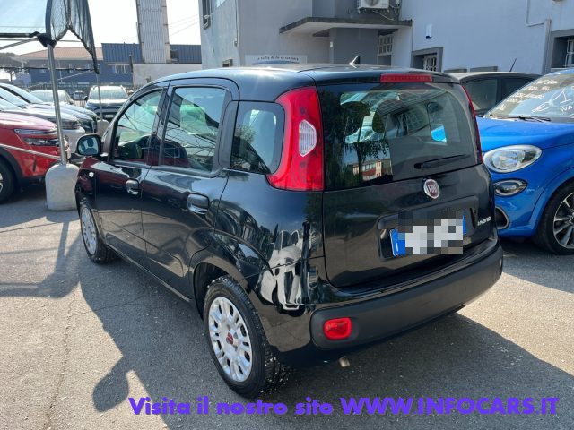 Fiat Panda 1.0 FireFly S&S Hybrid NEOPATENTATI PROMO - foto 4 di 4