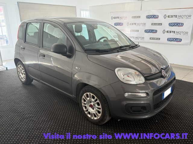 Fiat Panda 1.0 FireFly S&S Hybrid usato a ESTE