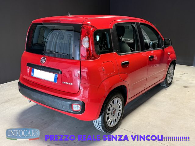 Fiat Panda Hybrid 1.0 FireFly 70 cv Neopatentati - PROMO - foto 4 di 4