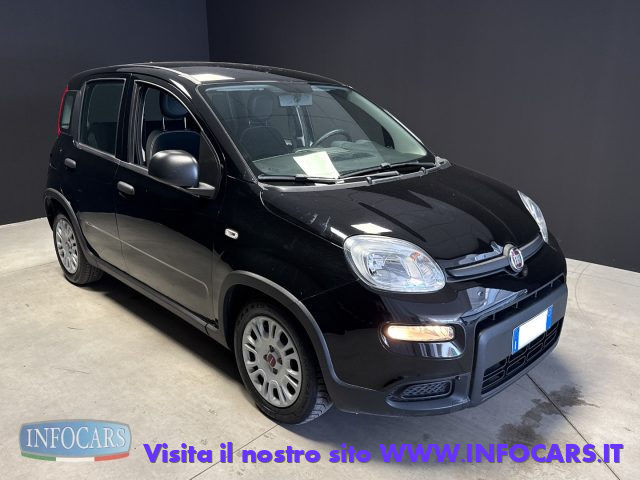 Fiat Panda 1.0 Hybrid 70 cv - Neopatentati - PROMO usato a ESTE