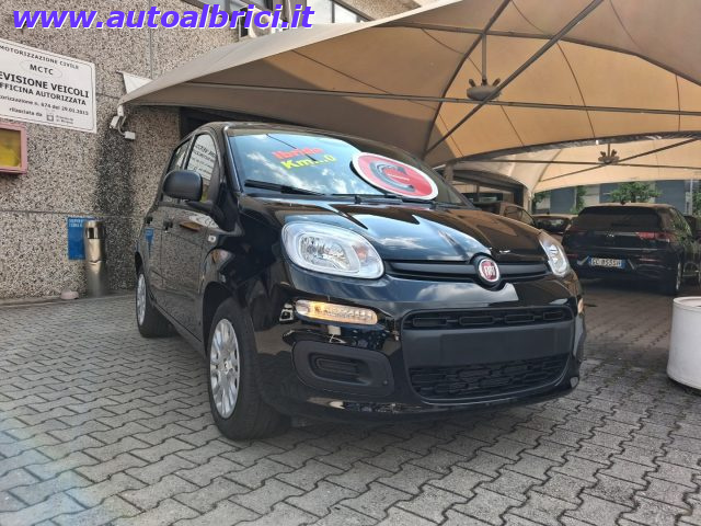 Fiat Pandina 1.0 FIREFLY 65 CV HYBRID ICON KM 0 - foto 2 di 4