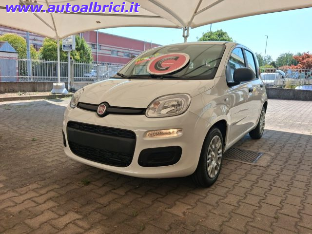 Fiat Pandina 1.0 FIREFLY 65 CV HYBRID ICON KM 0 - foto 4 di 4