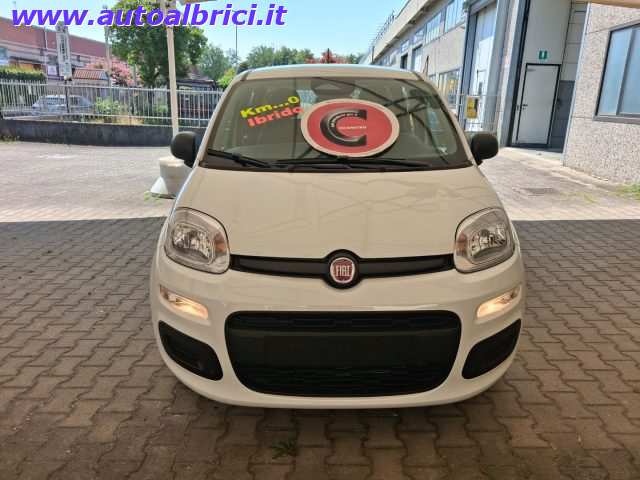 Fiat Pandina 1.0 FIREFLY 65 CV HYBRID ICON KM 0 - foto 3 di 4