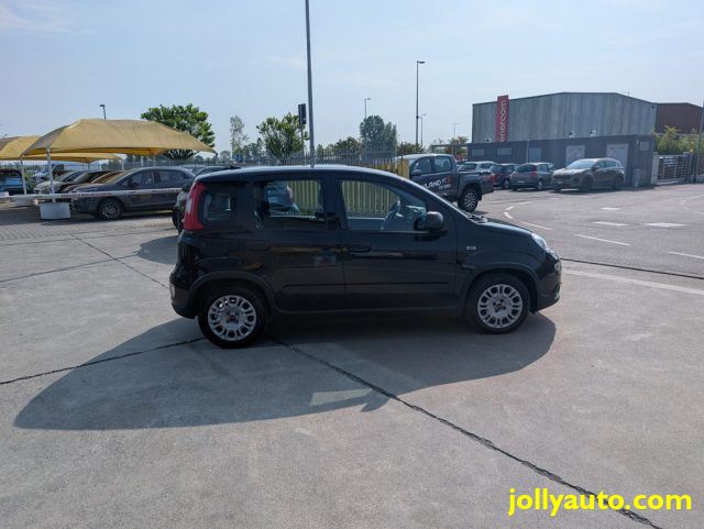Fiat Panda 1.0 FireFly S&S Hybrid 70CV -OK NEOPATENTATI - foto 4 di 4