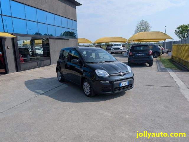 Fiat Panda 1.0 FireFly S&S Hybrid 70CV -OK NEOPATENTATI - foto 3 di 4