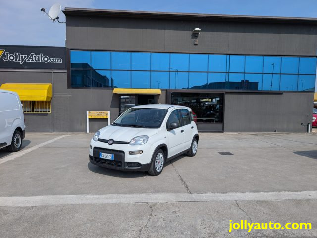 Fiat Panda 1.0 FireFly S&S Hybrid 70CV -OK NEOPATENTATI usato a CREMOSANO