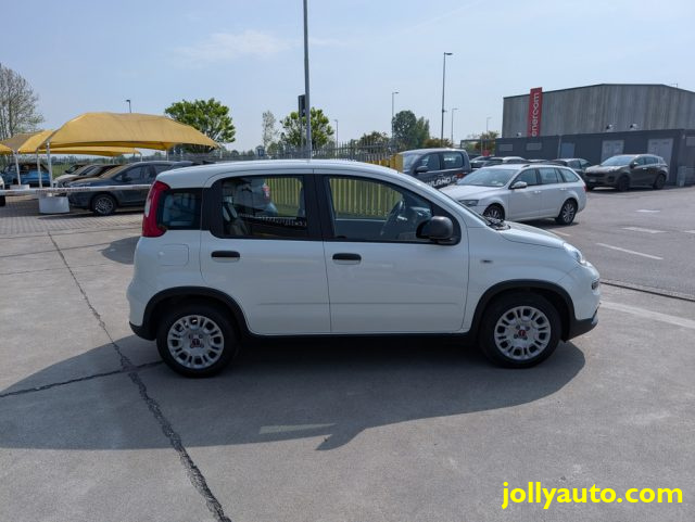 Fiat Panda 1.0 FireFly S&S Hybrid 70CV -OK NEOPATENTATI - foto 4 di 4