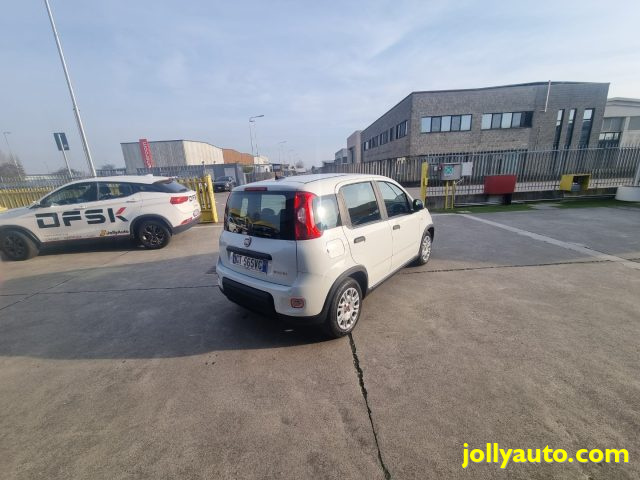 Fiat Panda 1.0 FireFly S&S Hybrid - OK NEOPATENTATI usato a CREMOSANO