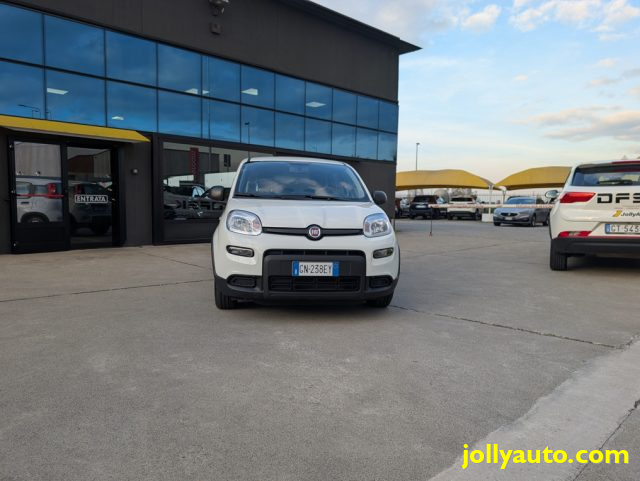Fiat Panda 1.0 FireFly S&S Hybrid 70CV - OK NEOPATENTATI usato a CREMOSANO