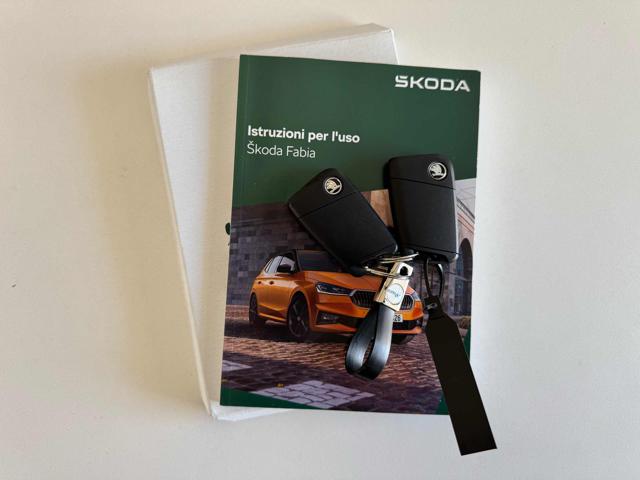 Skoda Fabia 1.0 TSI 95 CV Style usato a POLLENZA