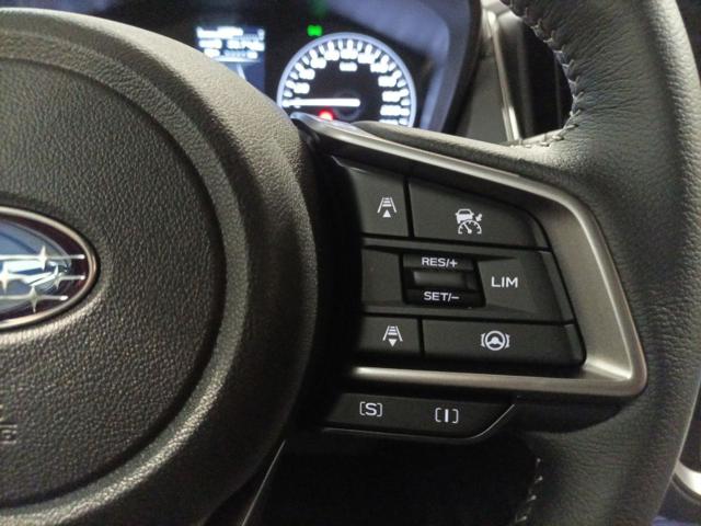 Subaru Crosstrek 2.0i e-Boxer MHEV CVT Lineartronic Style, in vendita a Magenta (MI)
