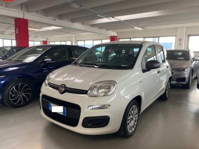 Fiat Panda 1.0 FireFly S&S Hybrid usato a TREVISO