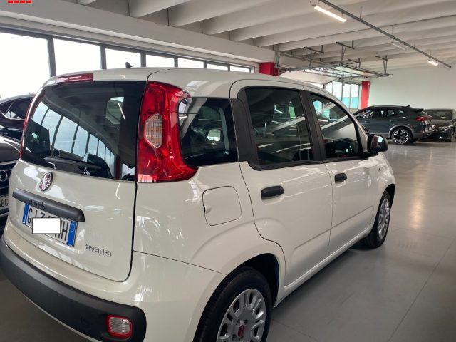 Fiat Panda 1.0 FireFly S&S Hybrid - foto 3 di 4
