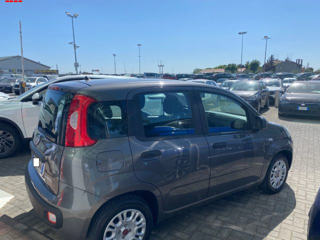 Fiat Panda 1.0 FireFly S&S Hybrid - foto 4 di 9