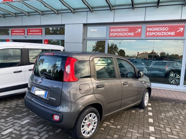 Fiat Panda 1.0 FireFly S&S Hybrid - foto 4 di 4