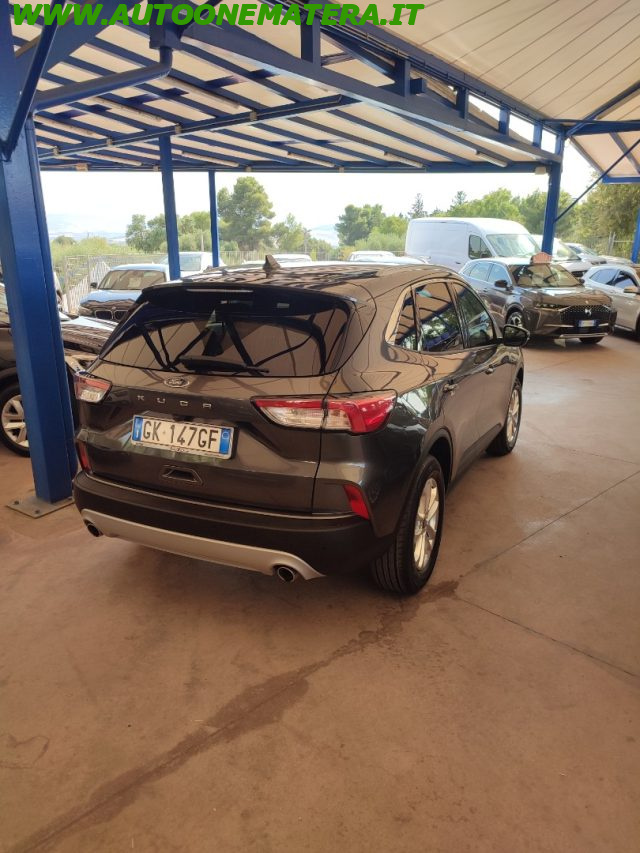 Ford Kuga 1.5 EcoBlue 120CV 2WD Titanium Business - foto 4 di 4