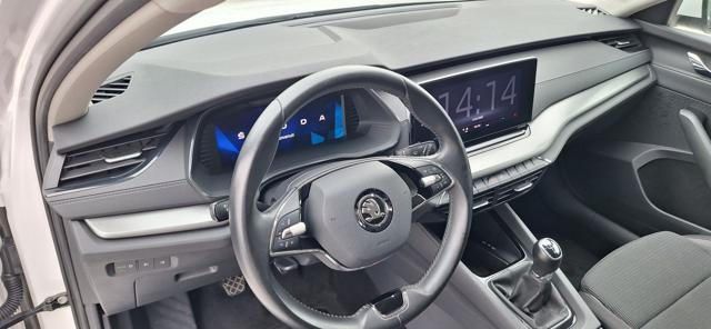 Skoda Octavia 2.0 TDI EVO SCR Wagon Executive N�GM617 usato a ROSSANO VENETO