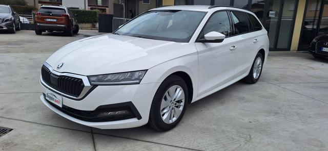 Skoda Octavia 2.0 TDI EVO SCR Wagon Executive N°GM617 usato a ROSSANO VENETO
