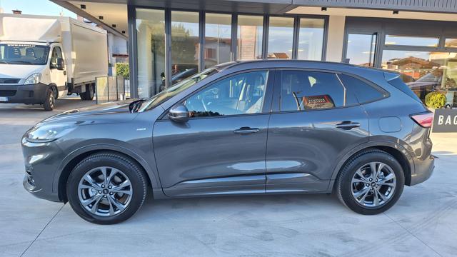 Ford Kuga 1.5 EcoBlue 120 CV aut. 2WD ST-Line N1 AUTOCARRO - foto 4 di 4