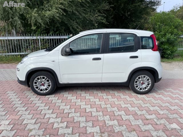 Fiat Panda 1.0 FireFly S&S Hybrid - foto 2 di 4