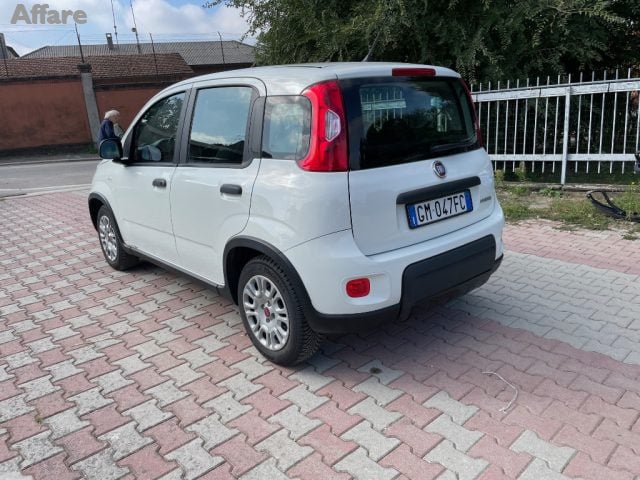 Fiat Panda 1.0 FireFly S&S Hybrid - foto 3 di 4