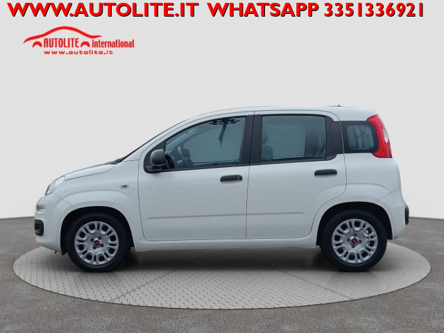 Fiat Panda 1.0 FireFly S&S Hybrid - foto 3 di 4