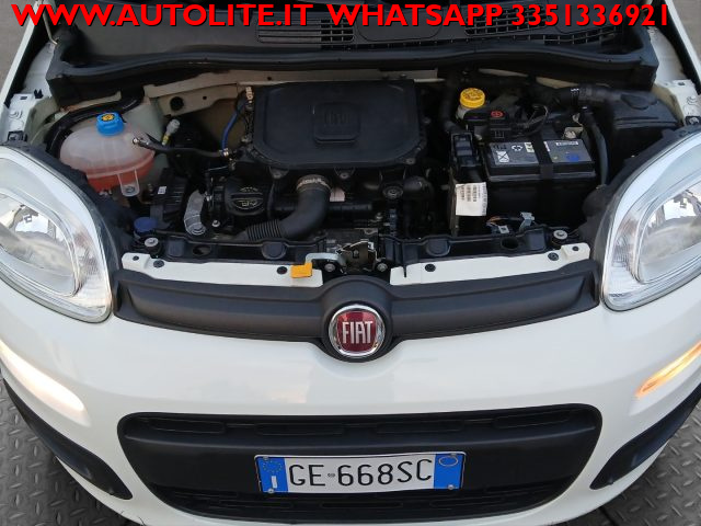 Fiat Panda 1.0 FireFly S&S Hybrid usato a SAN ZENONE DEGLI EZZELINI
