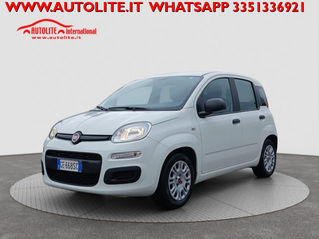 Fiat Panda 1.0 FireFly S&S Hybrid usato a SAN ZENONE DEGLI EZZELINI