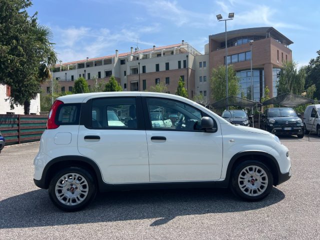 Fiat Panda 1.0 FireFly S&S Hybrid 70CV UNICO PROPRIETARIO - foto 4 di 4