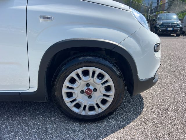 Fiat Panda 1.0 FireFly S&S Hybrid 70CV UNICO PROPRIETARIO - foto 3 di 4