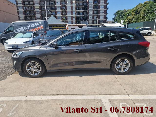 Ford Focus 1.5 EcoBlue 95 CV SW Business usato a ROMA