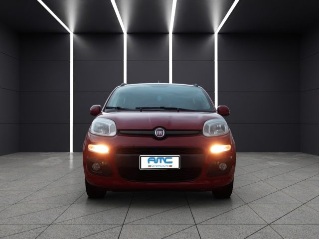 Fiat Panda 1.2 Lounge usato a POMPEI