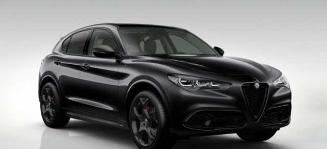 Alfa Romeo Stelvio 2.2 Td 210 CV AT8 Q4 Veloce Tetto Pan. Cerchi21 - foto 4 di 4