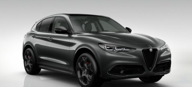Alfa Romeo Stelvio 2.2 Td 210 CV AT8 Q4 Veloce Tetto Pan. Cerchi21 - foto 2 di 4