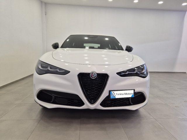 Alfa Romeo Stelvio 2.2 Td 160 CV AT8 Sprint N1 Autocarro Cerchi19 - foto 2 di 4