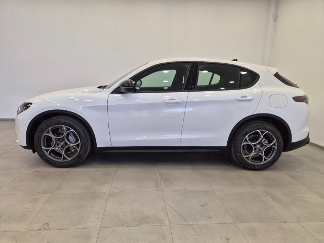 Alfa Romeo Stelvio 2.2 Td 160 CV AT8 Sprint N1 Autocarro Cerchi19 - foto 3 di 4
