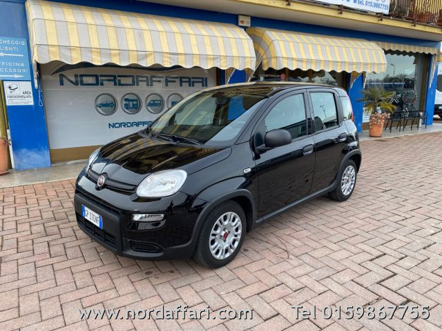 Fiat Panda 1.0 FireFly S&S Hybrid usato a BRUSNENGO